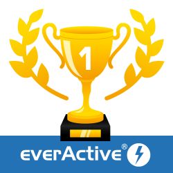 Nagrody dla baterii everActive