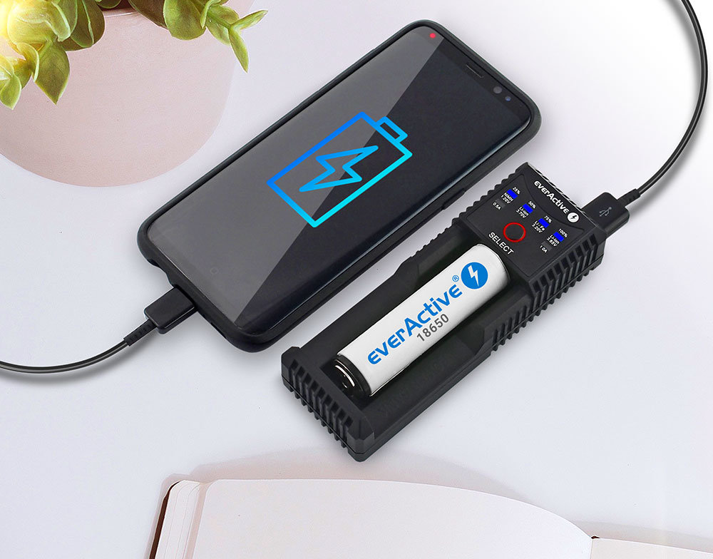 funkcja power bank