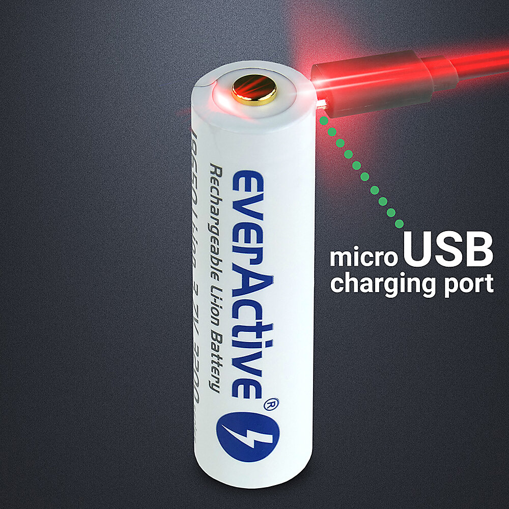 Baltrade.eu - B2B shop - everActive 18650 3.7V Li-ion 3200mAh micro USB  battery with BULK protection