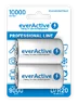 2 x everActive R20/D Ni-MH 10000 mAh rechargeable batteries ready to use
