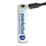 everActive 18650 3.7V Li-ion 3200mAh micro USB battery with BOX protection