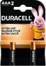 Duracell Basic alkaline battery MN2400 LR03 AAA (blister) - 2 pieces