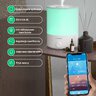 Blitzwolf BW-SH2 intelligent ultrasonic air humidifier 4L, LED RGB, WiFi