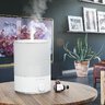 Blitzwolf BW-SH2 intelligent ultrasonic air humidifier 4L, LED RGB, WiFi
