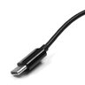 eXtreme WALL Charger with USB Type-C 3.1A NTC31C Cable