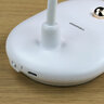 Tiross TS-2236 Cordless Desk Lamp
