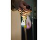 Latarka Armytek Zippy Yellow Latarka Armytek Zippy Yellow