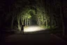 Flashlight Armytek Elf C2 Max USB-C White F10701PC Flashlight Armytek Elf C2 Max USB-C White F10701PC