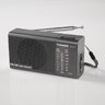 Tiross TS-455 Portable Analog Radio
